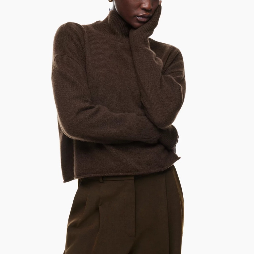 Aritzia luxe cashmere relaxed turtleneck